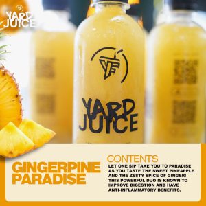 Gingerpine paradise yard juice